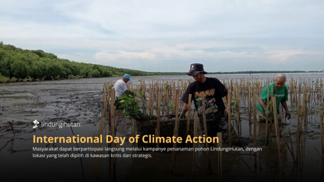 International Day of Climate Action: Saatnya Bumi Butuh Tindakan Nyata, Tanam Pohon Jadi Solusi Konkret