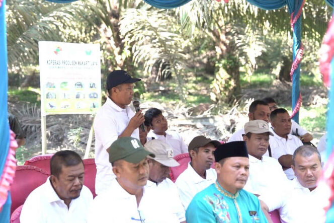 
PalmCo, Subholding Holding Perkebunan Nusantara, Jadi “Pahlawan Baru” Ekonomi Rakyat