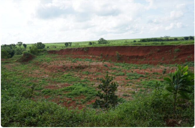 
Dari Lahan Tandus ke Desa Produktif, Koranji Subang Bersama LindungiHutan
