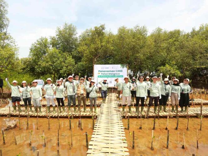
Abrasi Ancam Pesisir Tangerang, BRI Danareksa Sekuritas Tanam 1000 Pohon Mangrove untuk Perkuat Ketahanan Pantai
