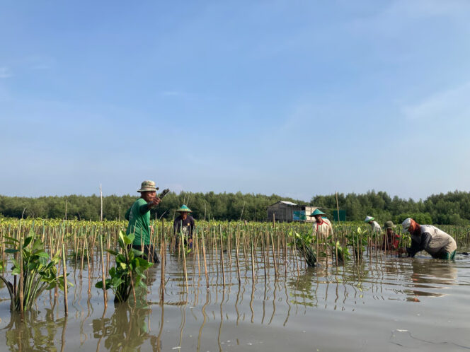 
LindungiHutan Ajak Publik Rayakan Hari Menanam Pohon Indonesia dengan Aksi Nyata di Tengah Krisis Iklim