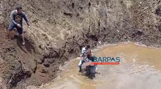 
Balita 2 Tahun Ditemukan Meninggal Dunia di Sungai Petung Pasuruan