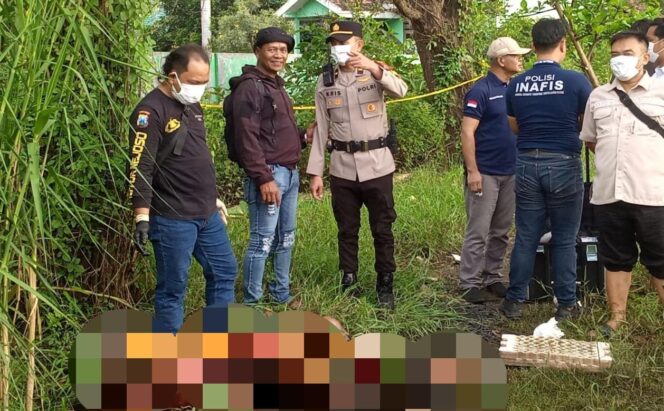 
Geger! Mayat Perempuan Berdaster Merah Ditemukan di Persawahan Sambirejo Pasuruan